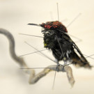 ABD0048-20140806.jpg