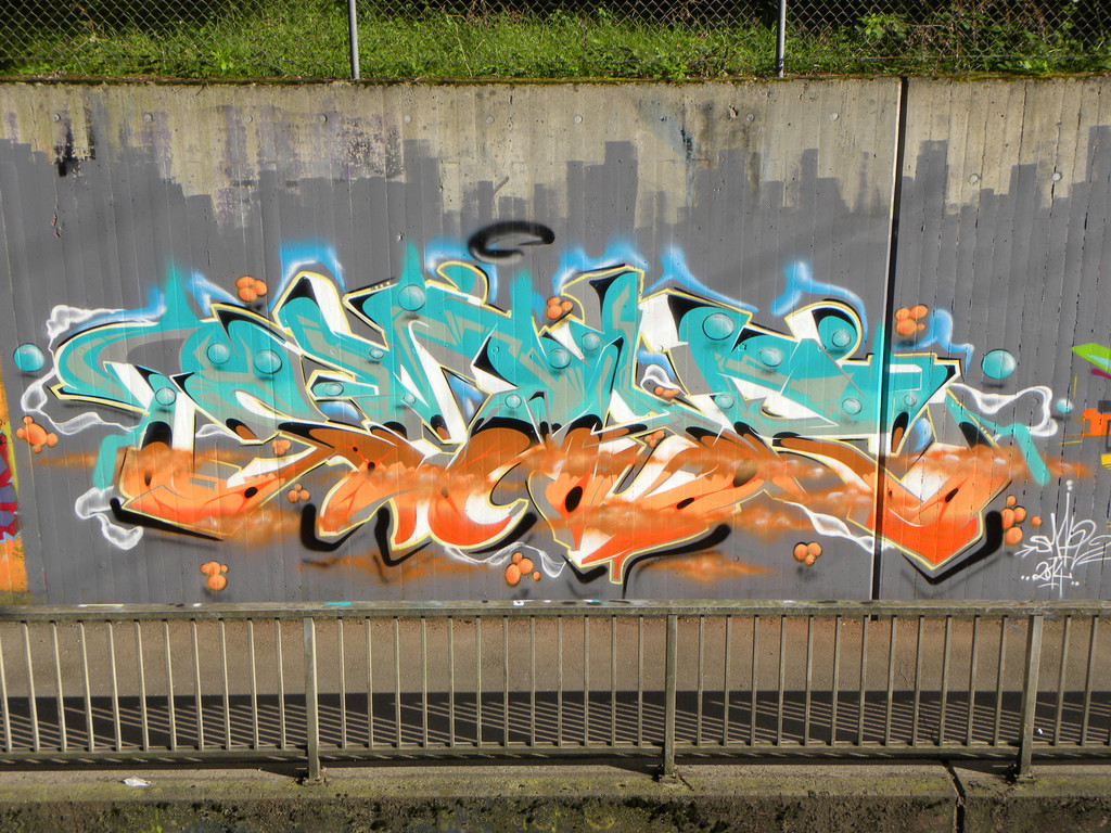 DSCN0406.JPG
