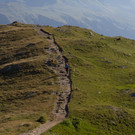 IMG_7914.jpg