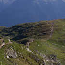 IMG_7917.jpg