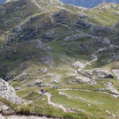 IMG_7937.jpg