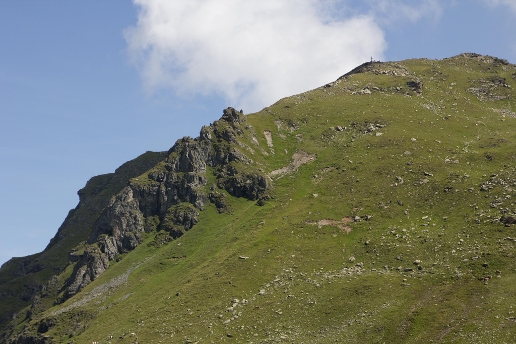 IMG_7969.jpg
