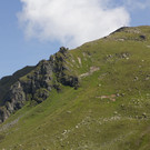 IMG_7969.jpg
