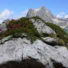 DSC001.JPG