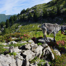 DSC00138.JPG