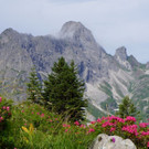 DSC000139.JPG