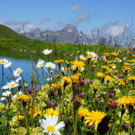 DSC00200.JPG