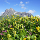 DSC00211.JPG