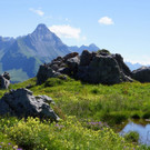 DSC00222.JPG