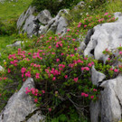 DSC00251.JPG