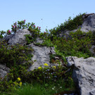 DSC00297.JPG