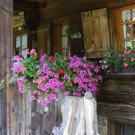 DSC0301.JPG