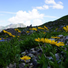 DSC00313.JPG