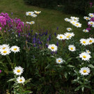 DSC00324.JPG
