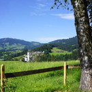 DSC00361.JPG