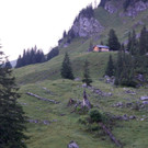 DSC00366.JPG