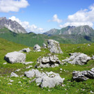 DSC00389.JPG
