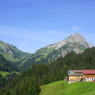DSC00432.JPG