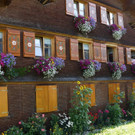 DSC00456.JPG