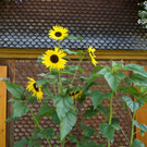 DSC00457.JPG