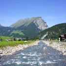 DSC00481.JPG
