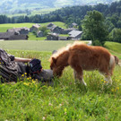 DSC09102.JPG