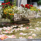 DSC09213.JPG