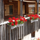 DSC09217.JPG