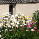 DSC09223.JPG