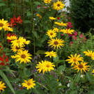 DSC009355.JPG