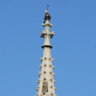ABD0069-20140807.jpg