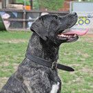 Rambo: Superschmuser hätte so gern einen guten Platz