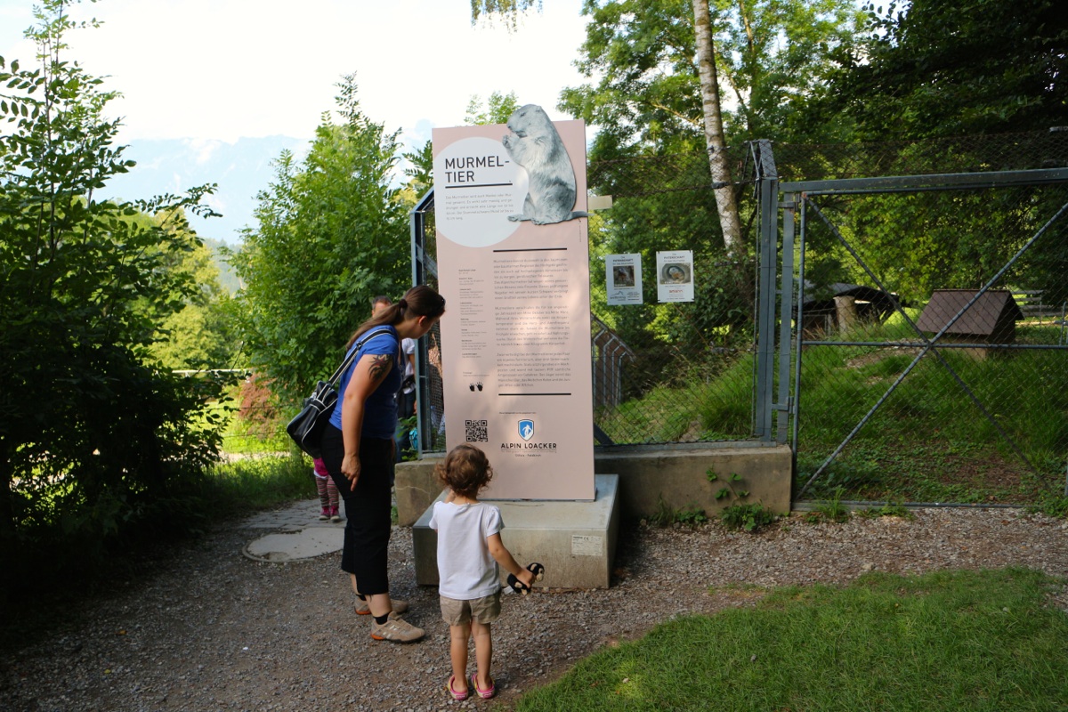 KOE_Wildpark Neue Infotafeln 2.jpg