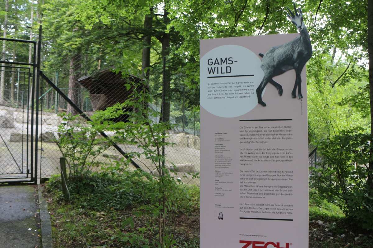 KOE_Wildpark Neue Infotafeln 3.jpg