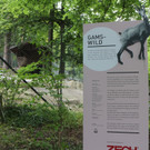 KOE_Wildpark Neue Infotafeln 3.jpg