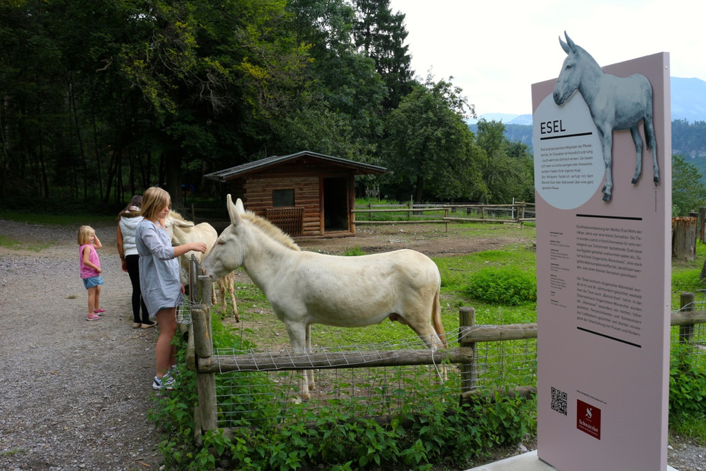 KOE_Wildpark Neue Infotafeln 4.jpg