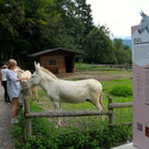 KOE_Wildpark Neue Infotafeln 4.jpg