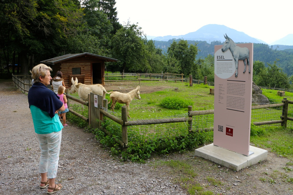 KOE_Wildpark Neue Infotafeln 6.jpg