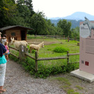 KOE_Wildpark Neue Infotafeln 6.jpg