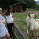 KOE_Wildpark Neue Infotafeln 7.jpg