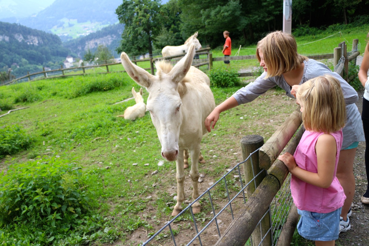 KOE_Wildpark Neue Infotafeln 8.jpg
