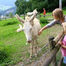 KOE_Wildpark Neue Infotafeln 8.jpg