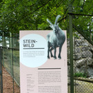KOE_Wildpark Neue Infotafeln 10.jpg
