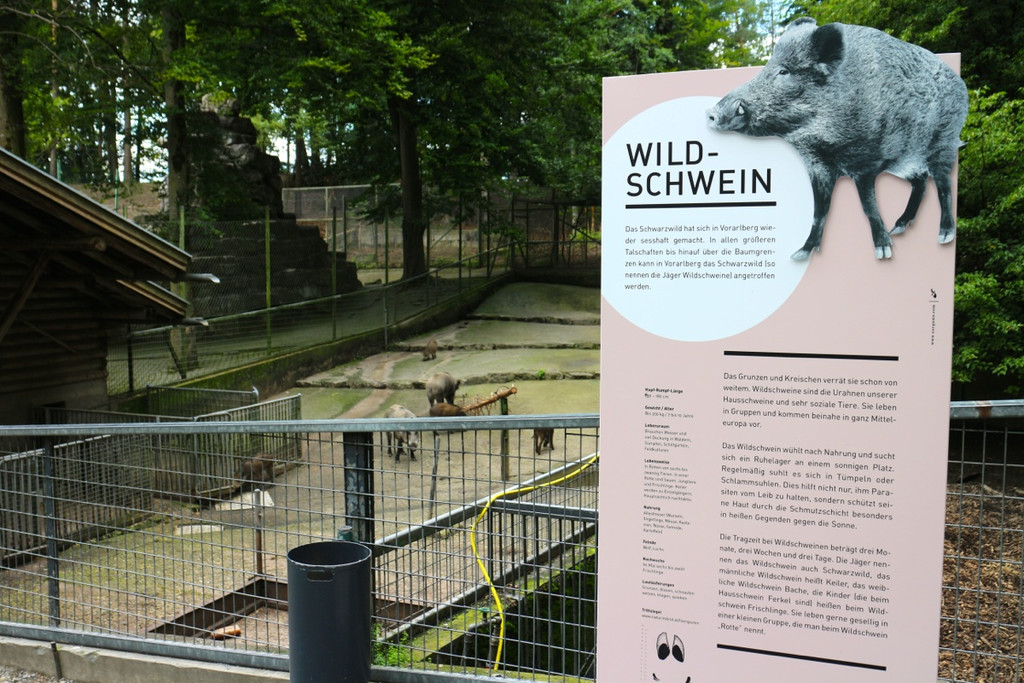 KOE_Wildpark Neue Infotafeln 11.jpg
