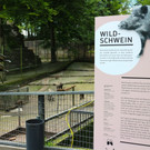 KOE_Wildpark Neue Infotafeln 11.jpg