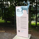 KOE_Wildpark Neue Infotafeln 14.jpg