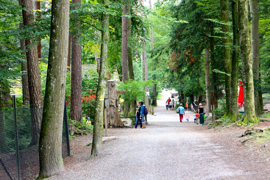 KOE_Wildpark Neue Infotafeln 15.jpg