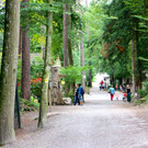 KOE_Wildpark Neue Infotafeln 15.jpg