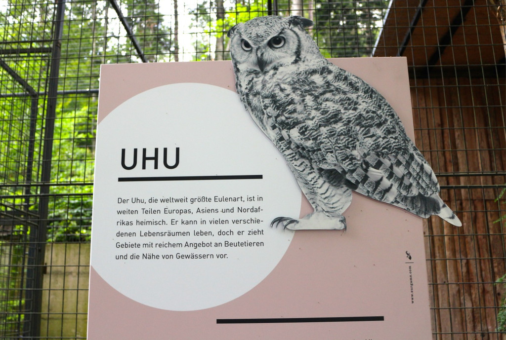 KOE_Wildpark Neue Infotafeln 16.jpg