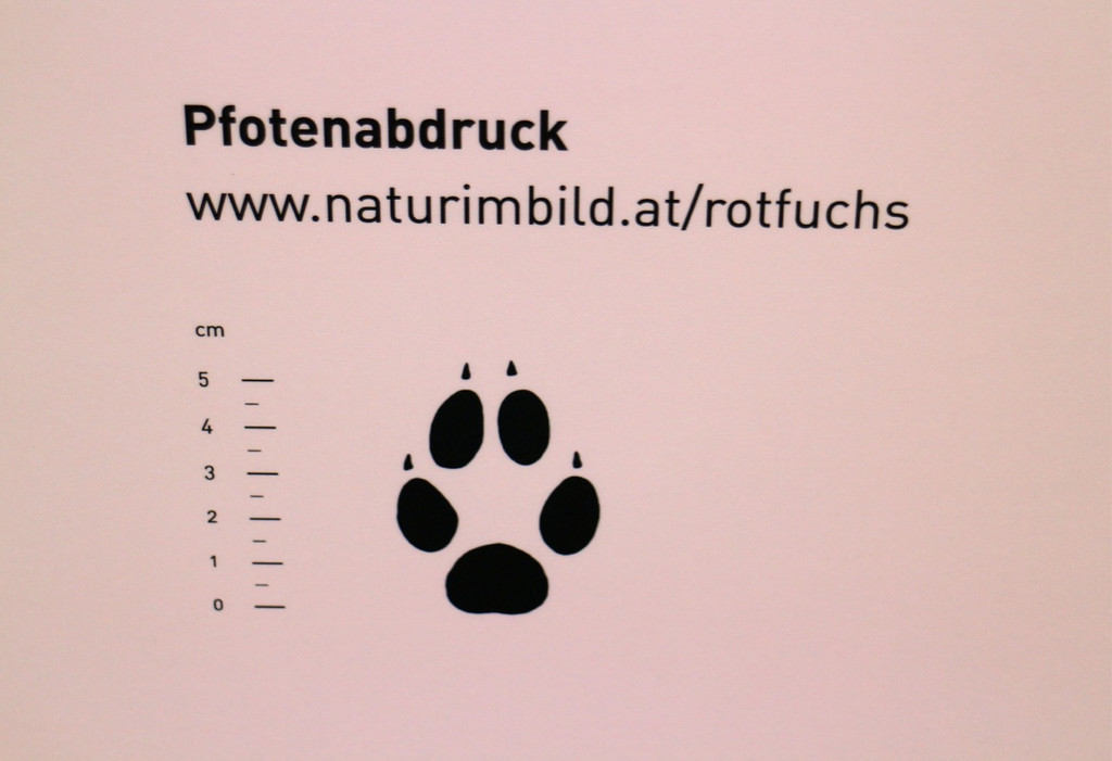 KOE_Wildpark Neue Infotafeln 18.jpg